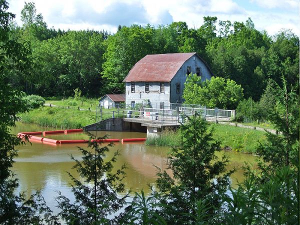 utopia bells mill Tiffin Centre Baby Bear Bridge in Summer